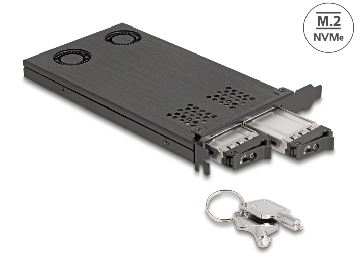 Delock PCI Express x16 Karte Wechselrahmen für 2 x M.2 NVMe SSD - Bifurcation #1 