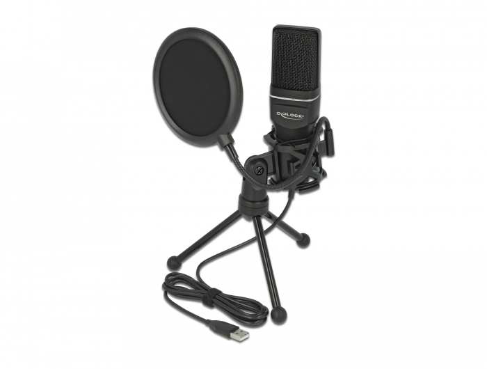 Delock USB Kondensator Mikrofon Set - für Podcasting, Gaming und Gesang #1 
