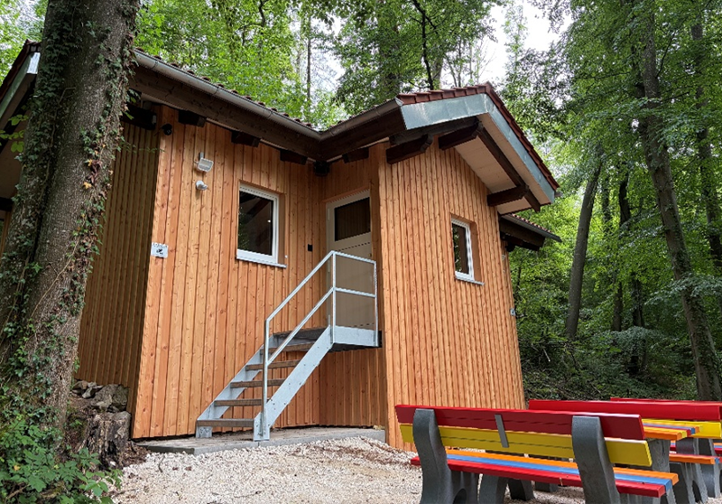 Blogvorschau_wald