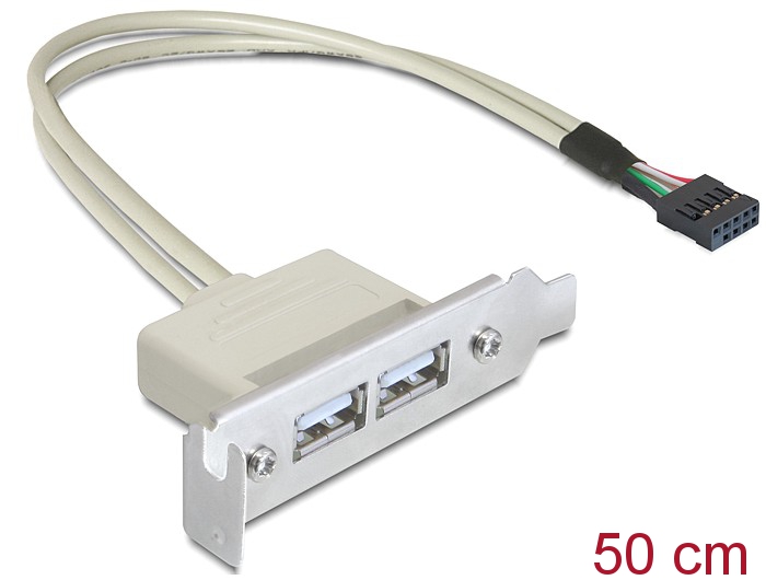 Delock Slotblech USB 2.0 Low Profile 2 Port #1 