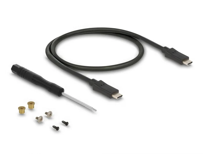 Delock Externes Gehäuse für M.2 SATA SSD mit USB Type-C™ Buchse #4 